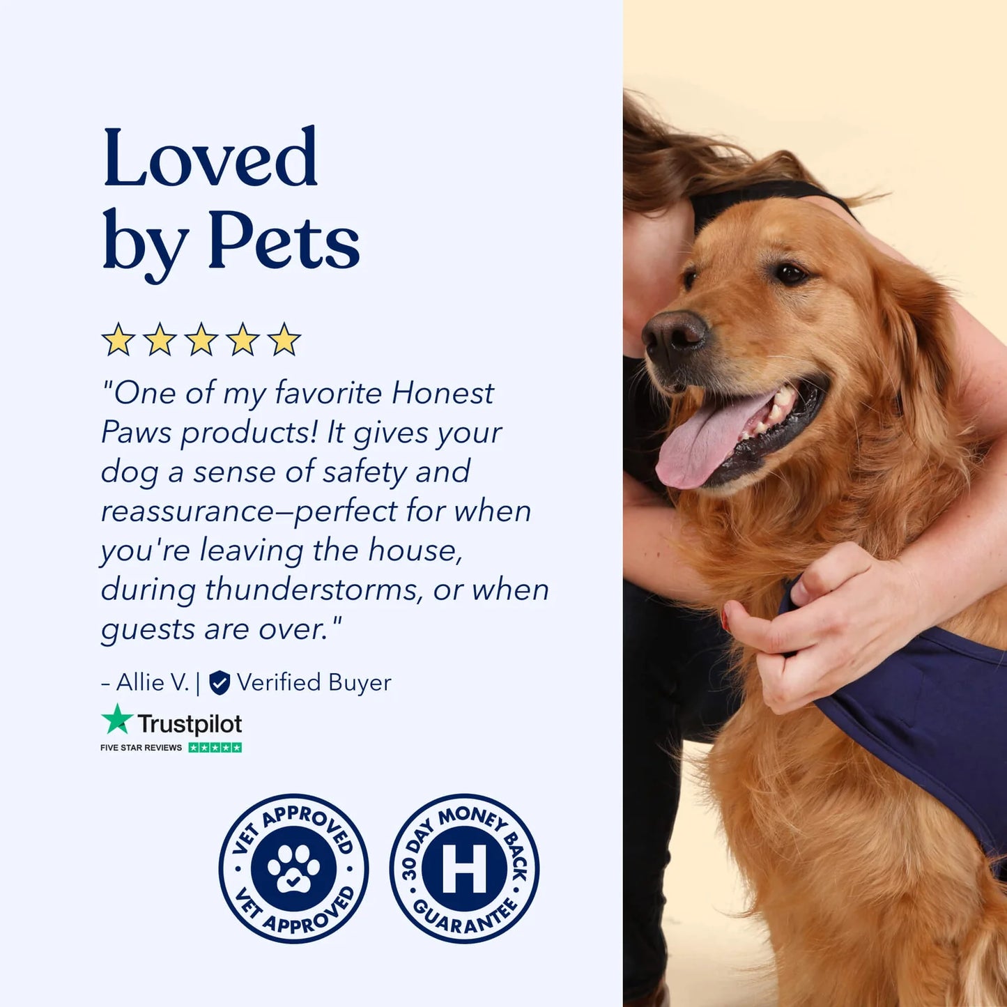 Calming compression therapy vest