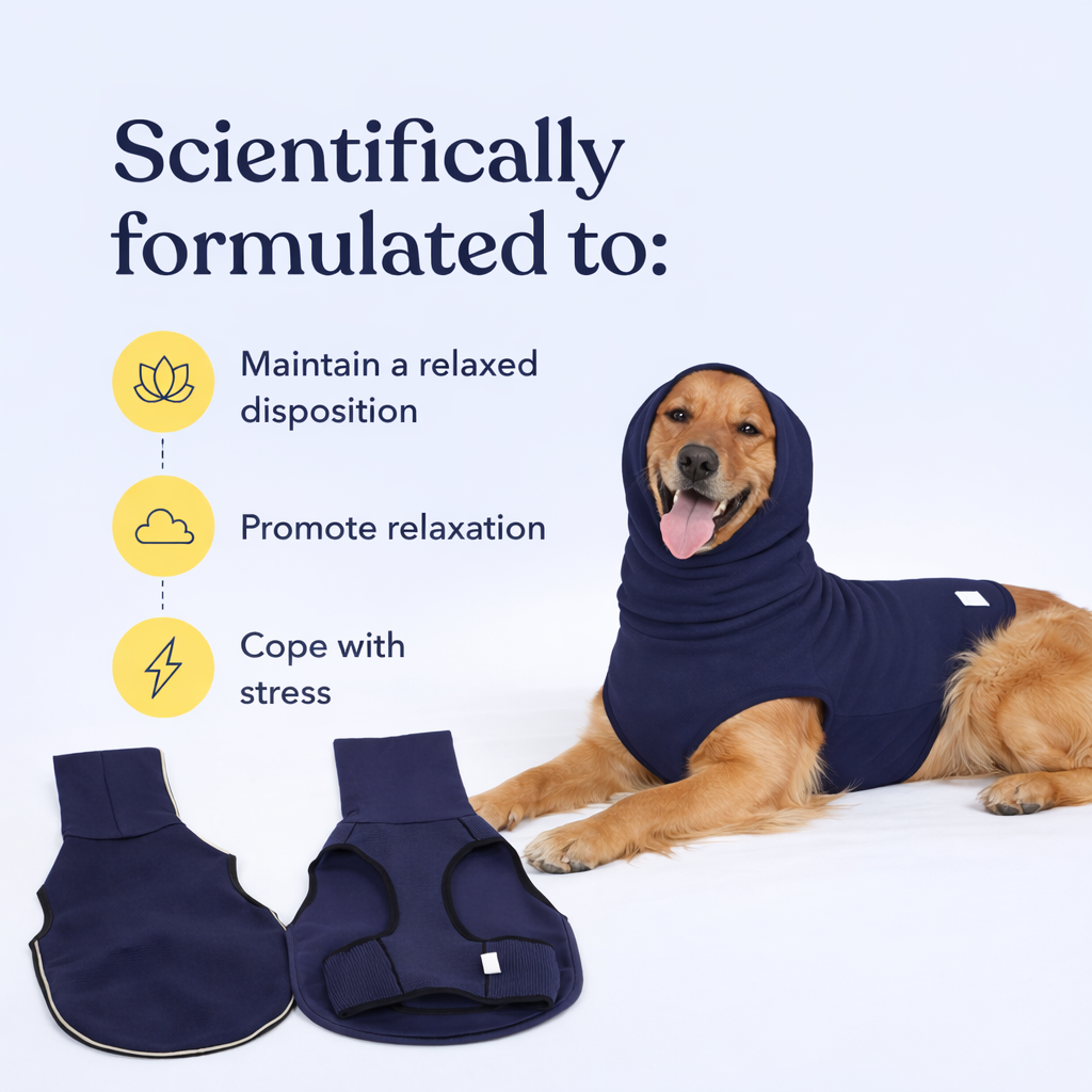 Calming compression therapy vest